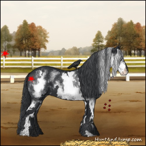 Horse Color:White Spotted Black Frame 