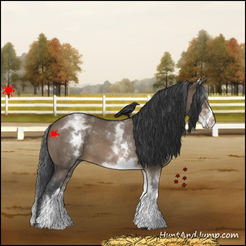 Horse Color:White Spotted Brown Roan Dun 