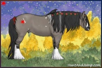 Horse Color:White Spotted Grullo Roan 