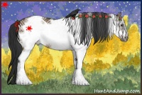 Horse Color:White Spotted Brown Dun Frame Rabicano 