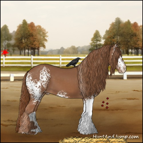 Horse Color:White Spotted Chestnut Varnish