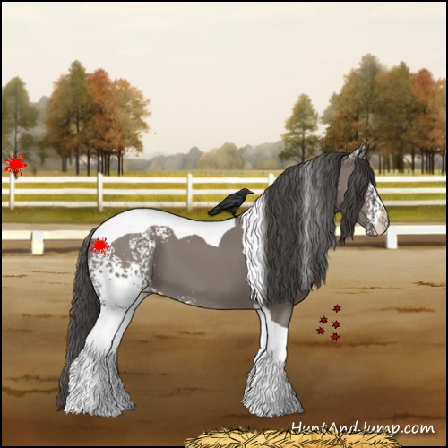 Horse Color:White Spotted Grullo Tobiano Varnish