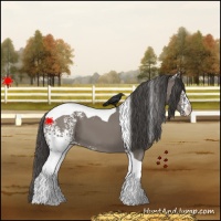 Horse Color:White Spotted Grullo Tobiano Varnish 