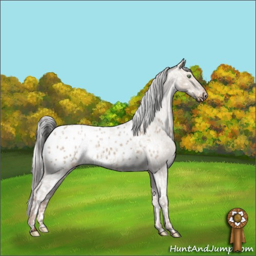Horse Color:White Spotted Silver Sable Champagne Dun Splash Tobiano Appaloosa Rabicano  and Gray Liver Red Dun Roan Appaloosa Rabicano 