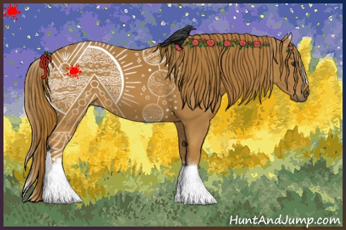 Horse Color:White Spotted Chestnut 