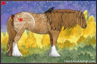 Horse Color:White Spotted Chestnut 