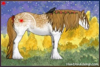 Horse Color:White Spotted Chestnut
