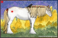Horse Color:White Spotted Chestnut 