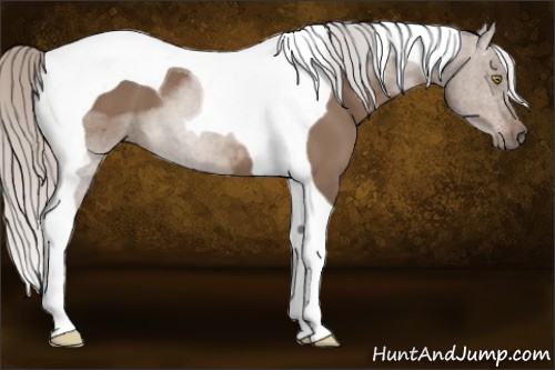 Horse Color:Silver Brown Dun Tobiano 
