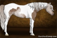 Horse Color:Silver Brown Dun Tobiano 