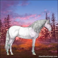 Horse Color:Watercolor Silver Bay Chinchilla Dun Appaloosa Rabicano