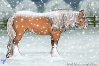 Horse Color:Silver Buckskin Sabino