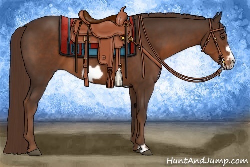 Horse Color:Liver Chestnut Frame 