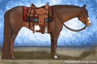 Horse Color:Liver Chestnut Frame 