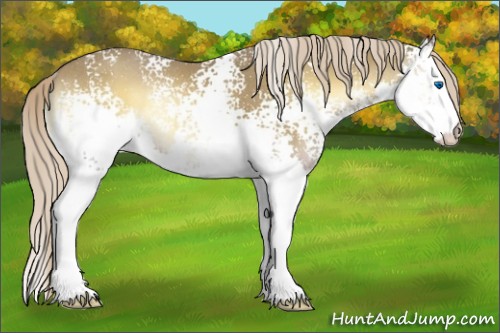 Horse Color:White Spotted Chocolate Palomino Onyx Splash Rabicano