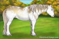 Horse Color:White Spotted Chocolate Palomino Onyx Splash Rabicano