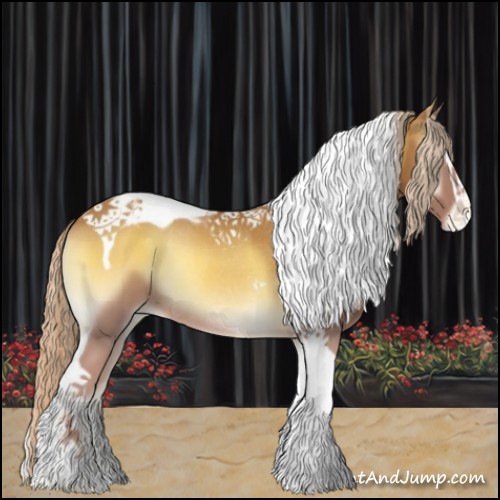 Horse Color:Palomino Onyx Sabino Tobiano Appaloosa Rabicano