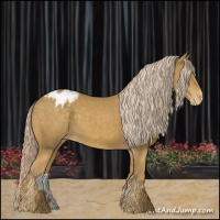 Horse Color:Palomino Sabino Varnish 