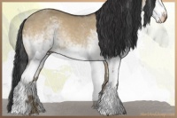 Horse Color:White Spotted Brown Dun 