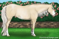 Horse Color:Silver Smoky Black Pearl Sabino Rabicano
