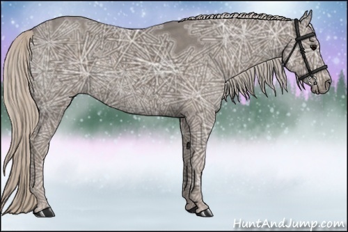 Horse Color:Silver Black Ice