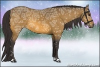 Horse Color:Buckskin Ice 