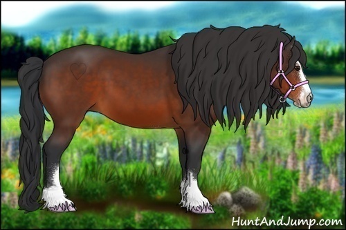 Horse Color:Brown Sabino 