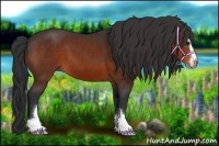 Horse Color:Brown Sabino 