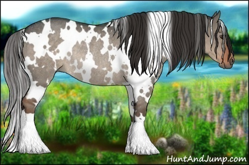 Horse Color:White Spotted Liver Red Dun Roan Rabicano 