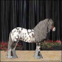 Horse Color:Gray Silver Blue Onyx Near Leopard