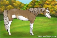 Horse Color:Chocolate Palomino Roan Splash Frame Varnish 