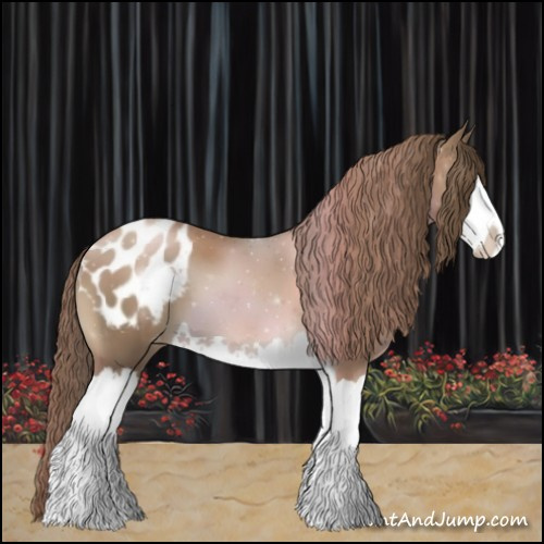 Horse Color:Black Pearl Splash Appaloosa