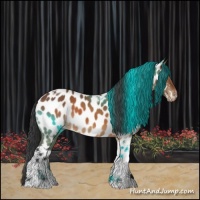 Horse Color:Brown Tobiano Appaloosa 
