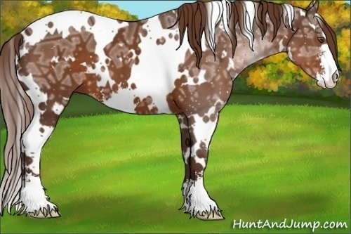 Horse Color:White Spotted Liver Chestnut Ice Sabino