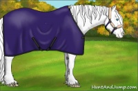 Horse Color:Amber Cream Champagne Pearl Blanket