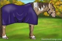 Horse Color:White Spotted Classic Champagne 