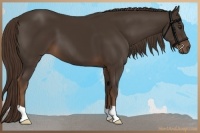 Horse Color:Liver Chestnut 
