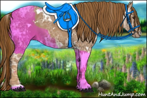 Horse Color:White Spotted Chestnut Ice