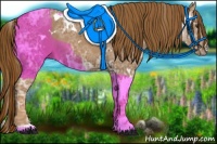 Horse Color:White Spotted Chestnut Ice