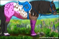 Horse Color:Bay Near Leopard