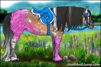 Horse Color:White Spotted Bay Ice