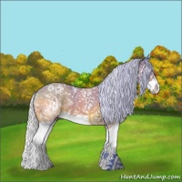 Horse Color:Watercolor White Spotted Silver Bay Splash 