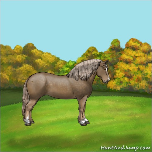 Horse Color:Chocolate Palomino Sabino