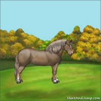 Horse Color:Chocolate Palomino Sabino