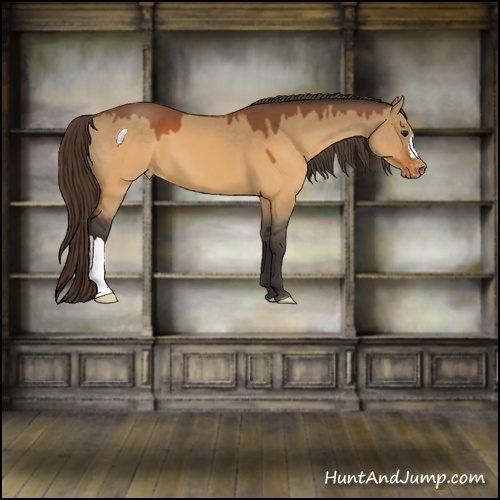 Horse Color:Brown Dun Varnish 