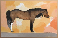 Horse Color:Gray Brown Dun Brindle