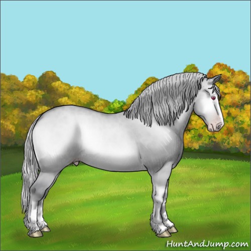 Horse Color:Silver Sable Champagne Chinchilla Onyx Sabino Rabicano