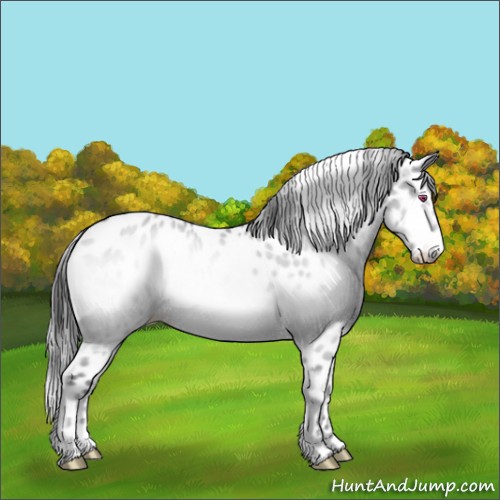 Horse Color:Sable Cream Champagne Chinchilla Onyx Near Leopard Rabicano 