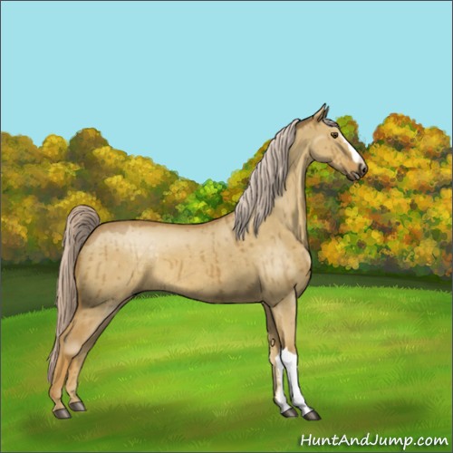 Horse Color:Palomino Dun