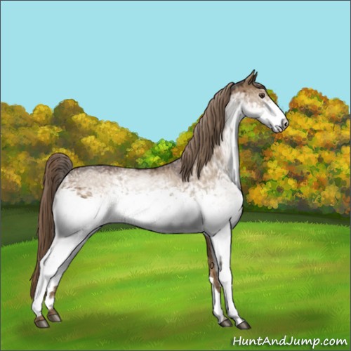 Horse Color:White Spotted Liver Red Dun
